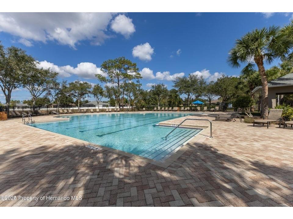 109 Fairmont Drive Spring Hill FL 34609 TB8419518 image4