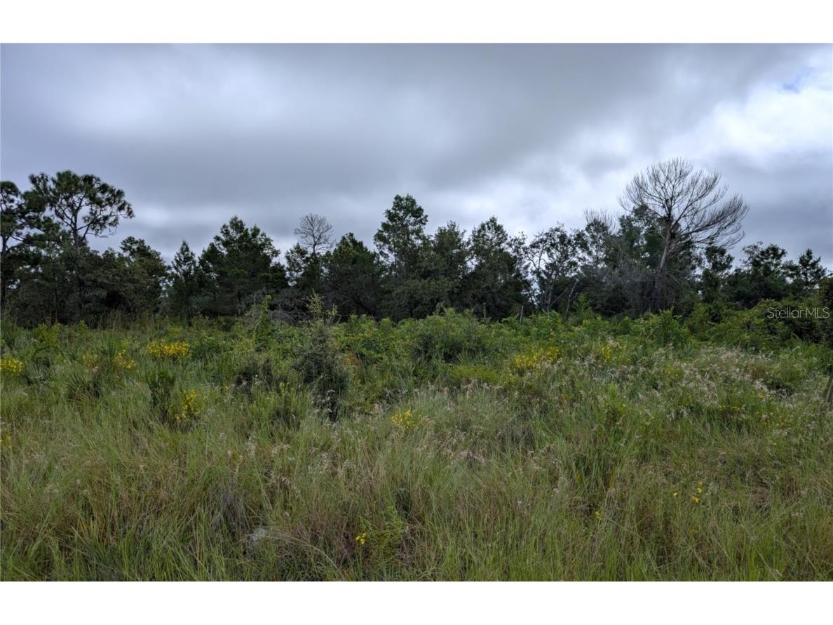 109 Falcon Court NW Lake Placid FL 33852 L4955734 image1