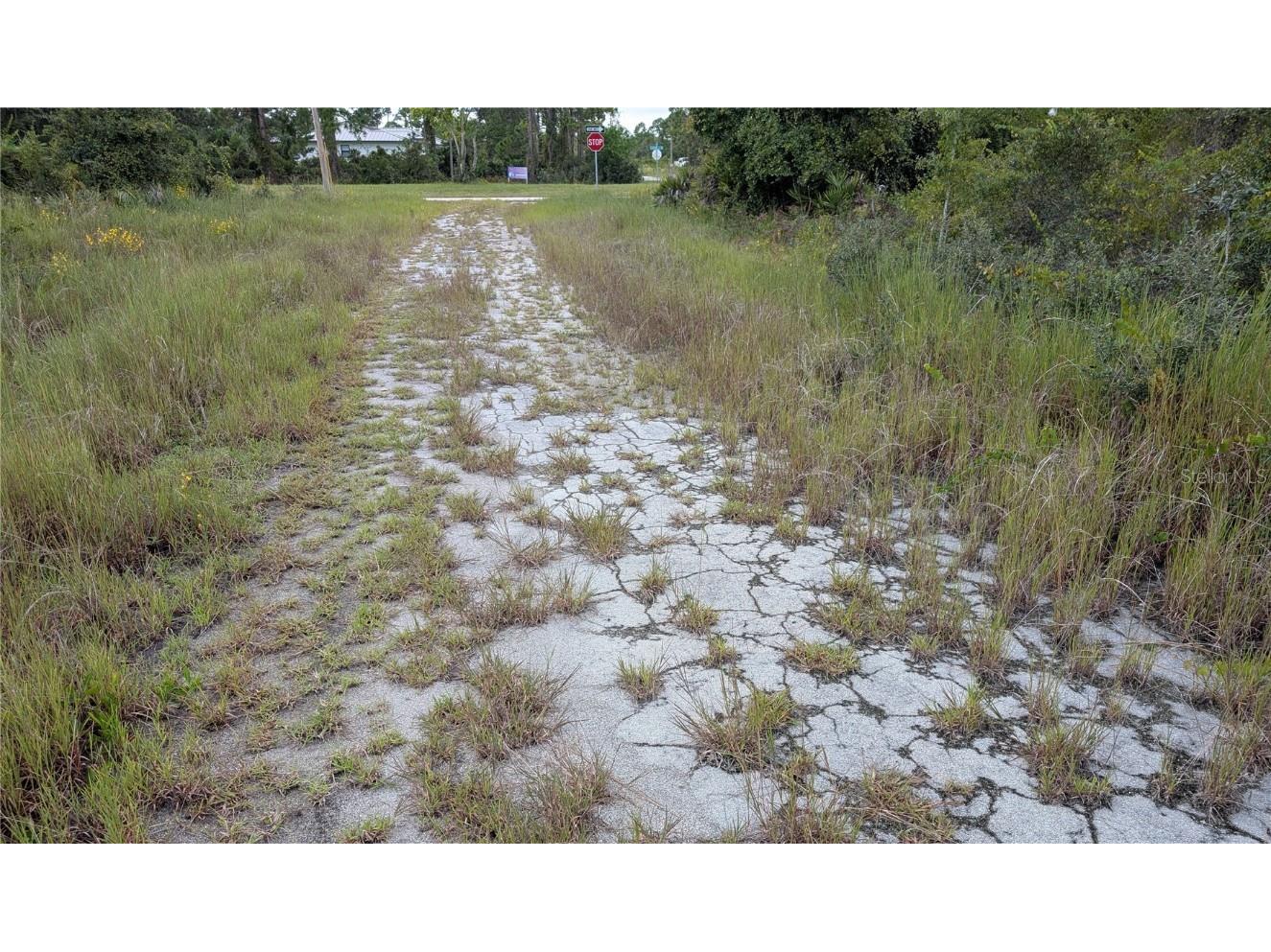 109 Falcon Court NW Lake Placid FL 33852 L4955734 image3