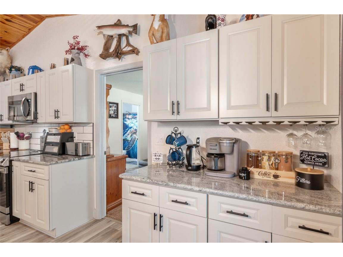 109 Fisher Way Ocklawaha FL 32179 OM710145 image25