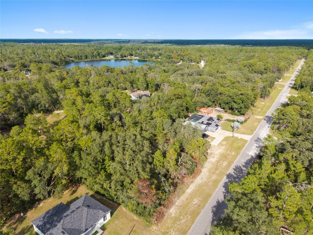 109 Fisher Way Ocklawaha FL 32179 OM710145 image94