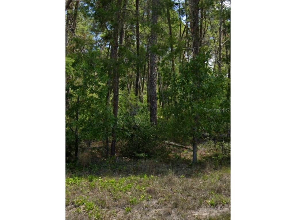 109 Granada Drive Florahome FL 32140 OM658419 image2