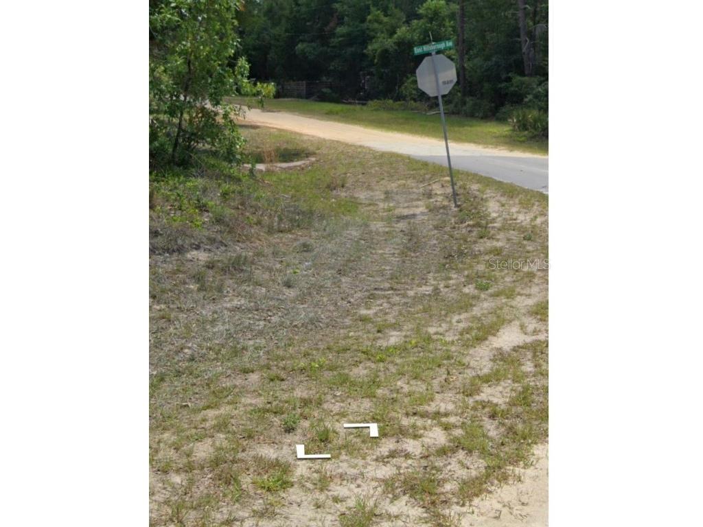 109 Granada Drive Florahome FL 32140 OM658419 image4