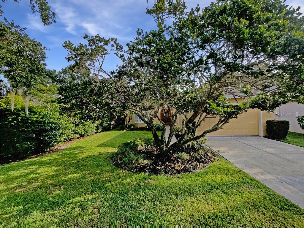 109 Greentree Lane Yalaha FL 34797 - LAKE HARRIS O6321884 image19