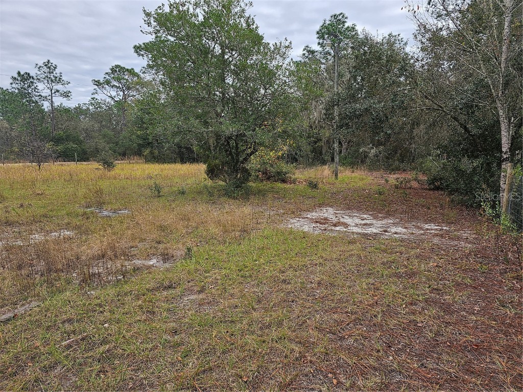 109 Harbour Street Interlachen FL 32148 - LAKE EARL OM668592 image1