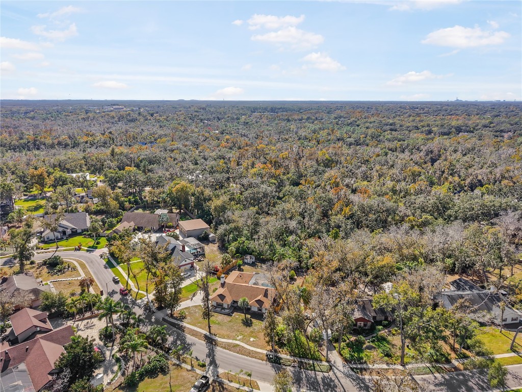 109 Holly Tree Lane Brandon FL 33511 TB8460872 image29