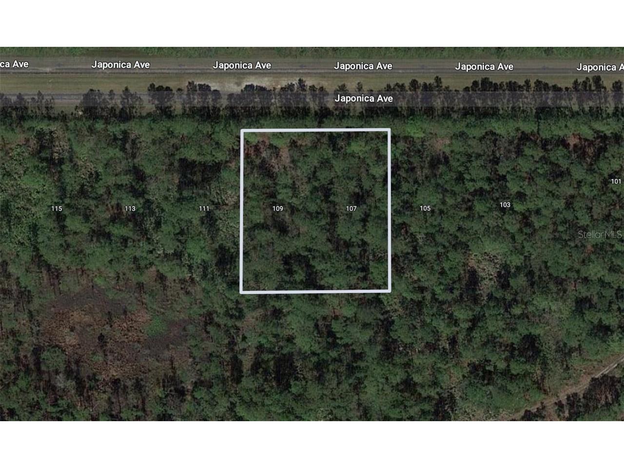 109 Japonica Avenue Indian Lake Estates FL 33855 - WALK-IN-WATER T3446974 image1