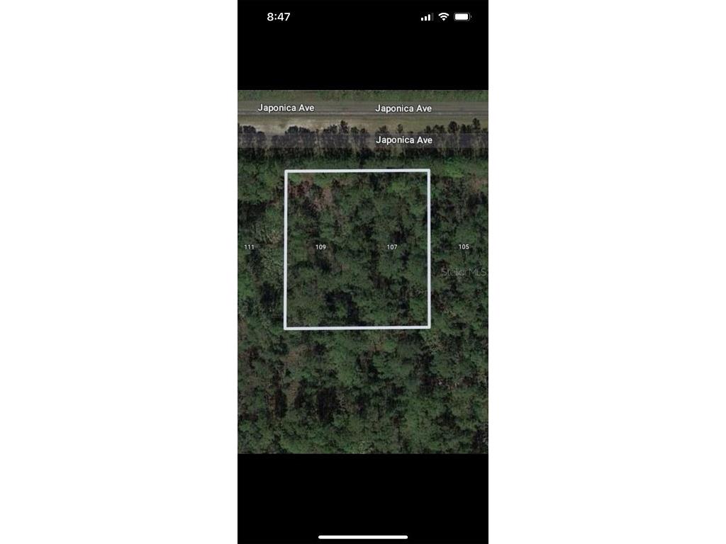 109 Japonica Avenue Indian Lake Estates FL 33855 TB8393200 image1