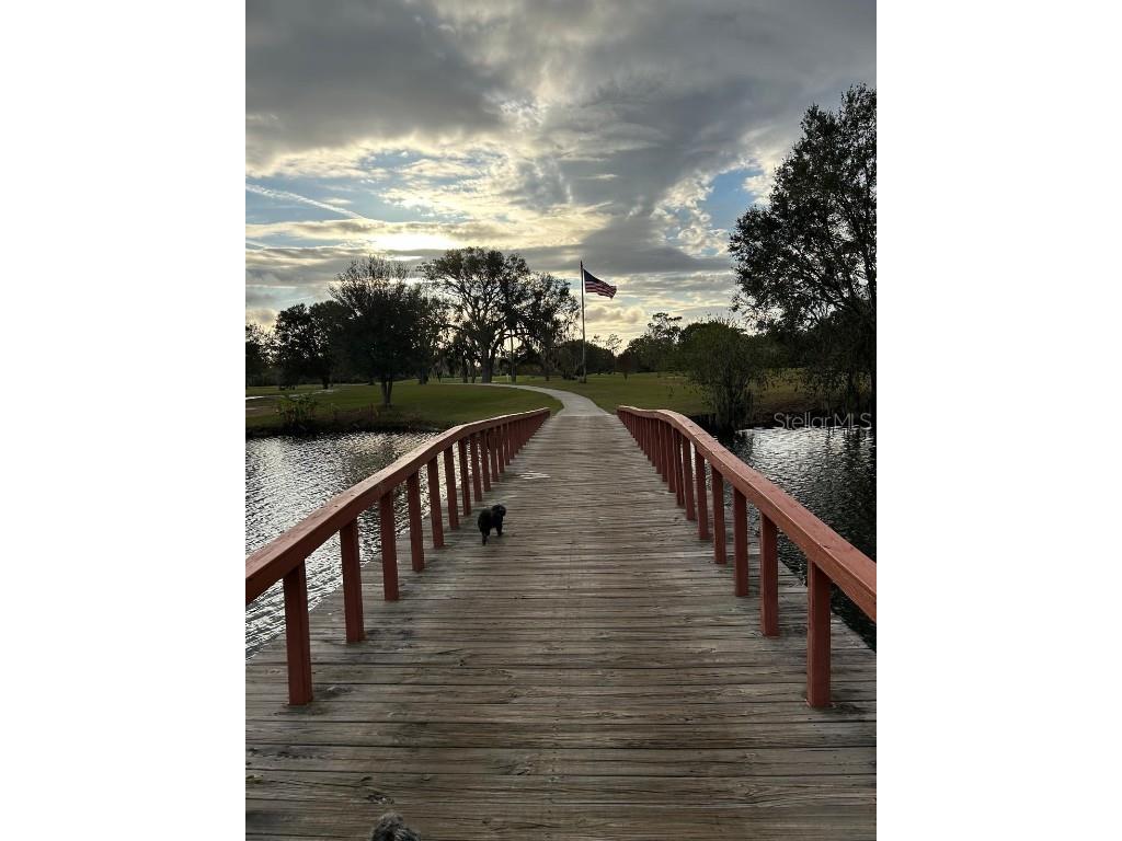 109 Japonica Avenue Indian Lake Estates FL 33855 TB8393200 image10