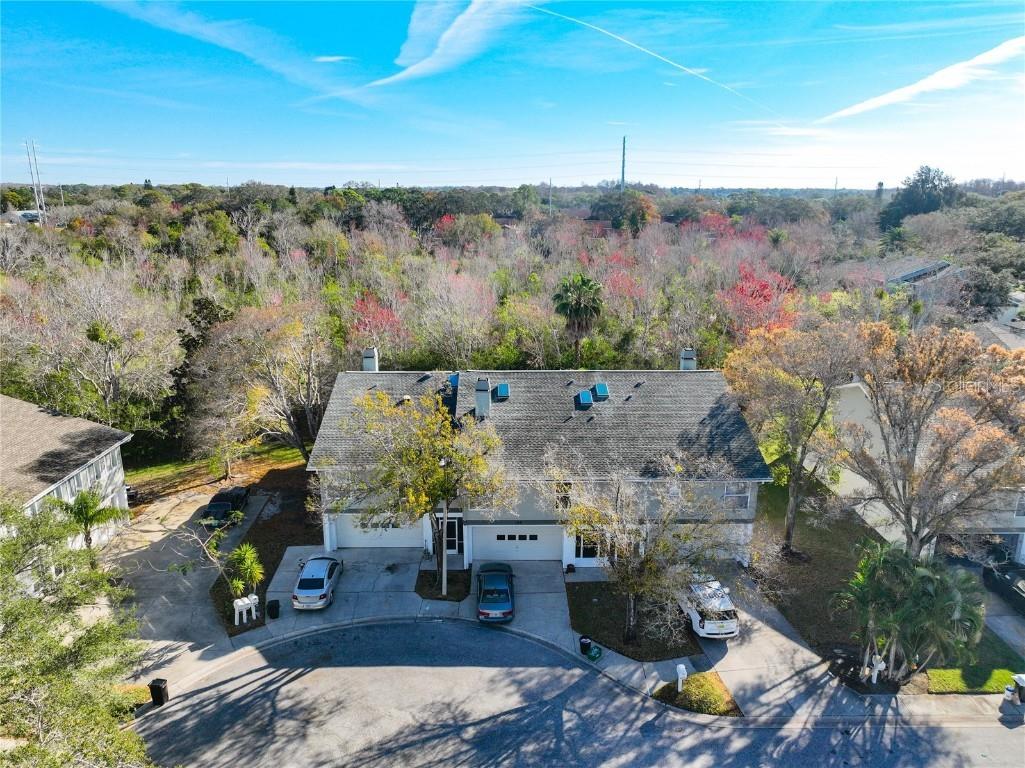 109 Kathleen Court Tarpon Springs FL 34689 T3498713 image1