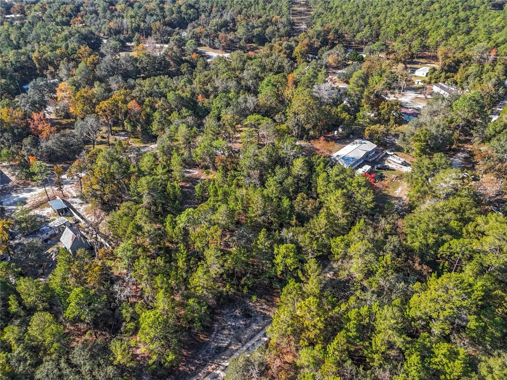 109 Lucas Street Satsuma FL 32189 O6362435 image11