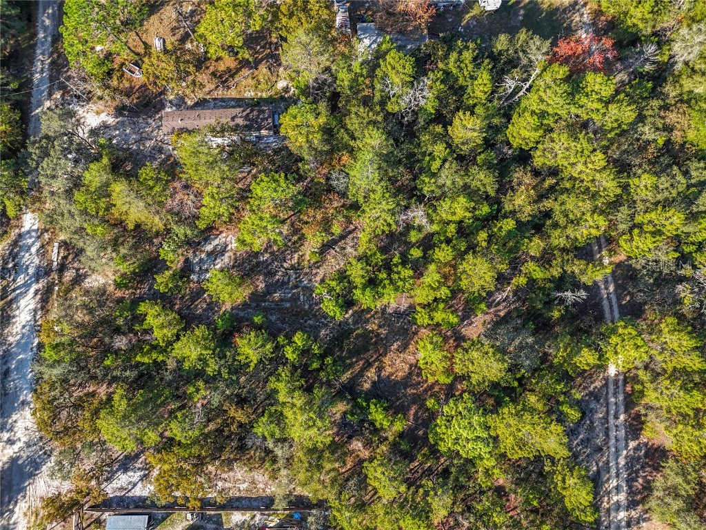 109 Lucas Street Satsuma FL 32189 O6362435 image14