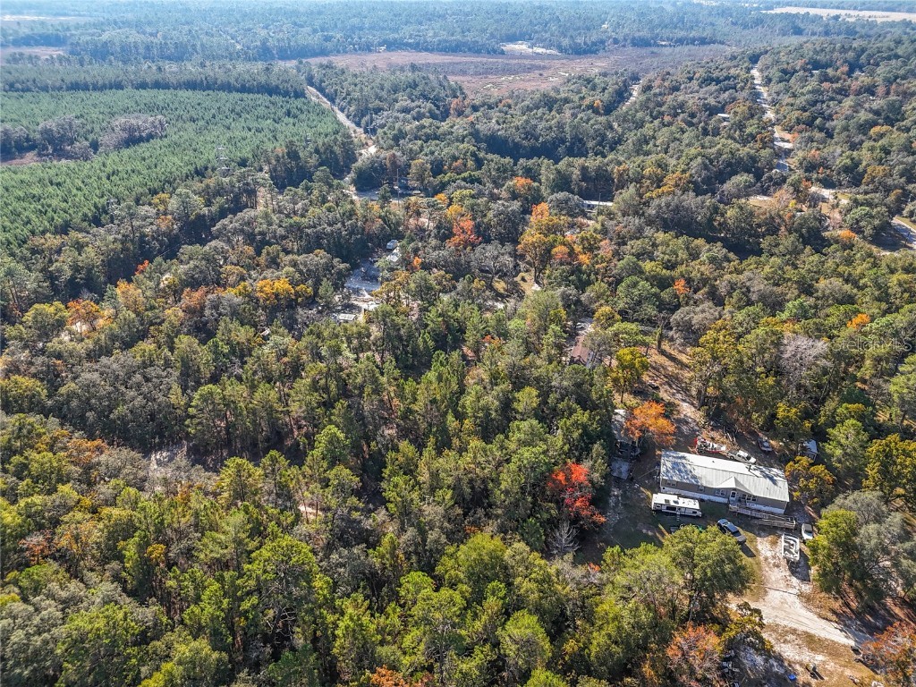 109 Lucas Street Satsuma FL 32189 O6362435 image15