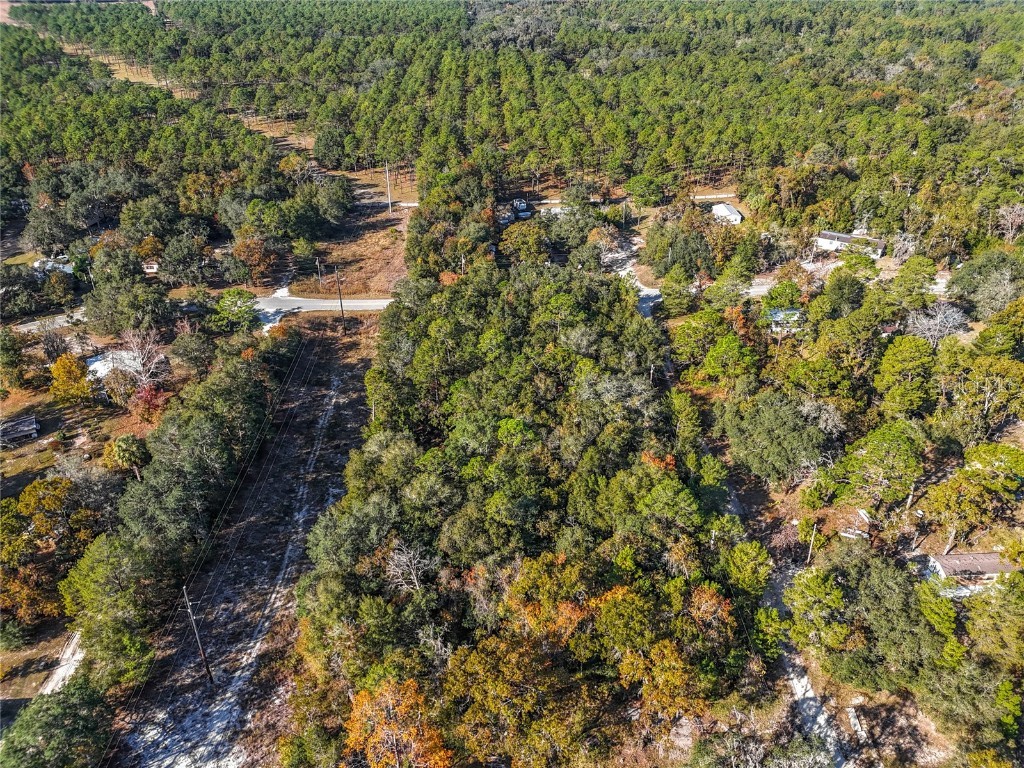 109 Lucas Street Satsuma FL 32189 O6362435 image16