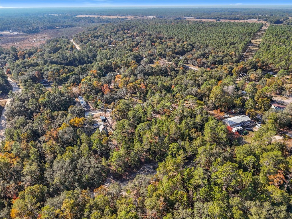 109 Lucas Street Satsuma FL 32189 O6362435 image17