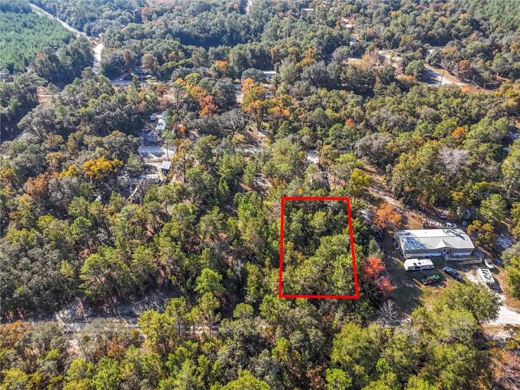 109 Lucas Street Satsuma FL 32189 O6362435 image2