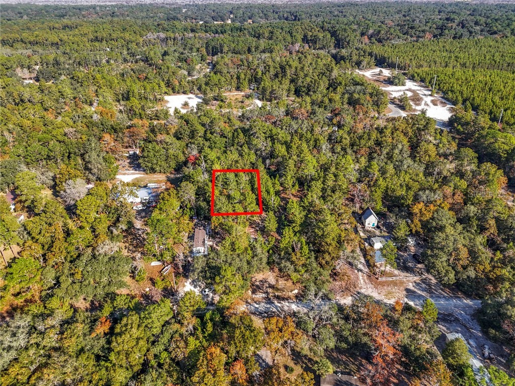 109 Lucas Street Satsuma FL 32189 O6362435 image3