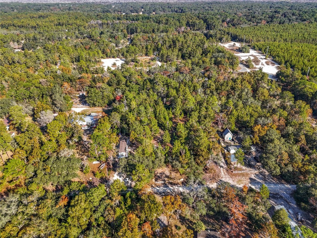 109 Lucas Street Satsuma FL 32189 O6362435 image5