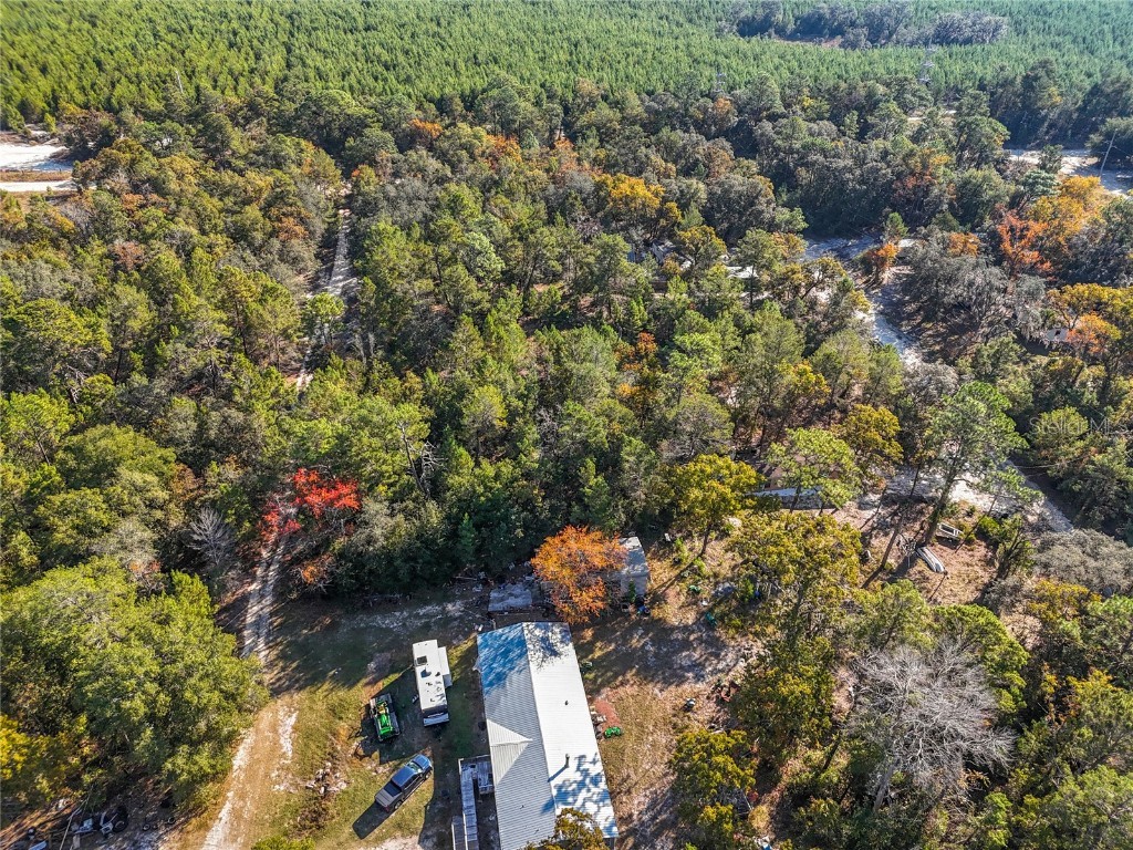 109 Lucas Street Satsuma FL 32189 O6362435 image8