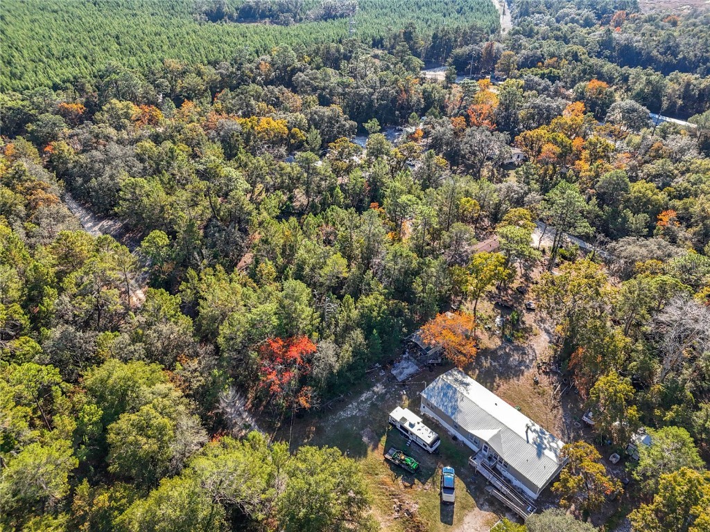 109 Lucas Street Satsuma FL 32189 O6362435 image9