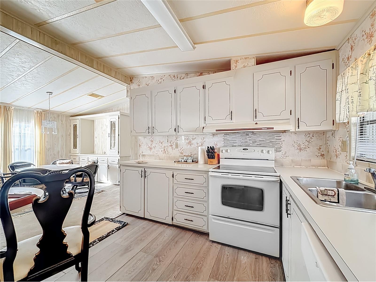 109 Lyonia Lane Wildwood FL 34785 - LAKE OKAHUMPKA N6142370 image13