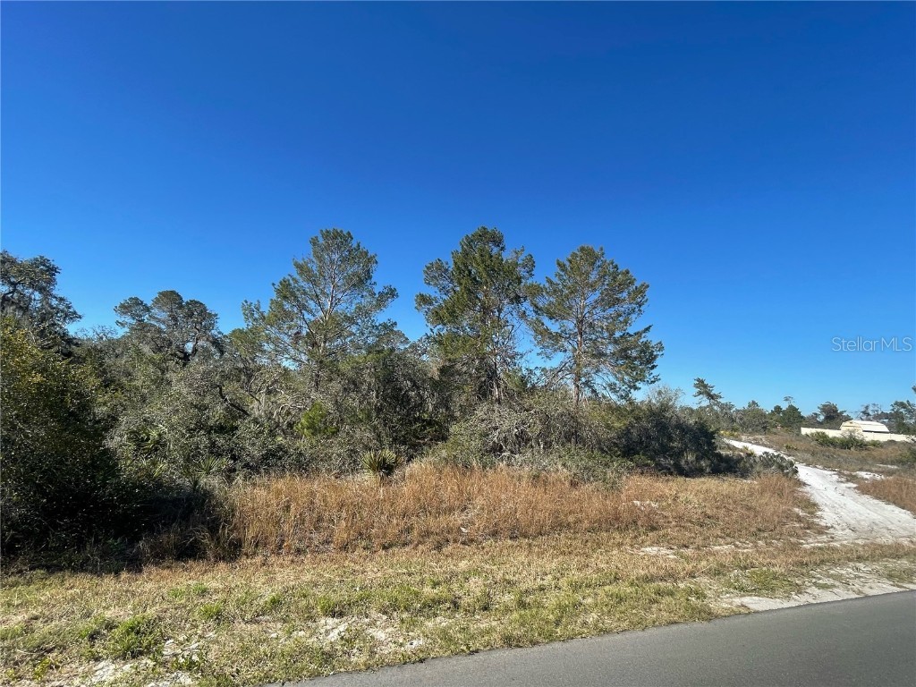 109 Martinique Avenue NE Lake Placid FL 33852 O6087575 image1