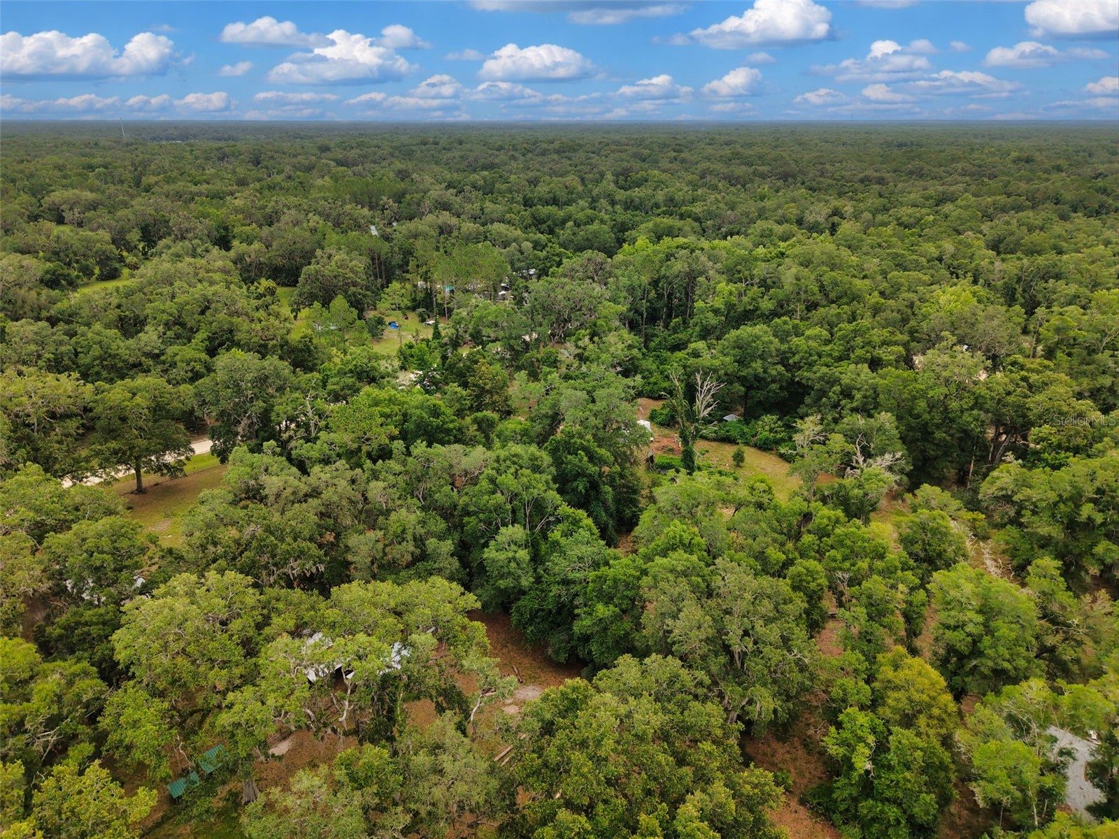 109 NE 194th Avenue Old Town FL 32680 GC541120 image15