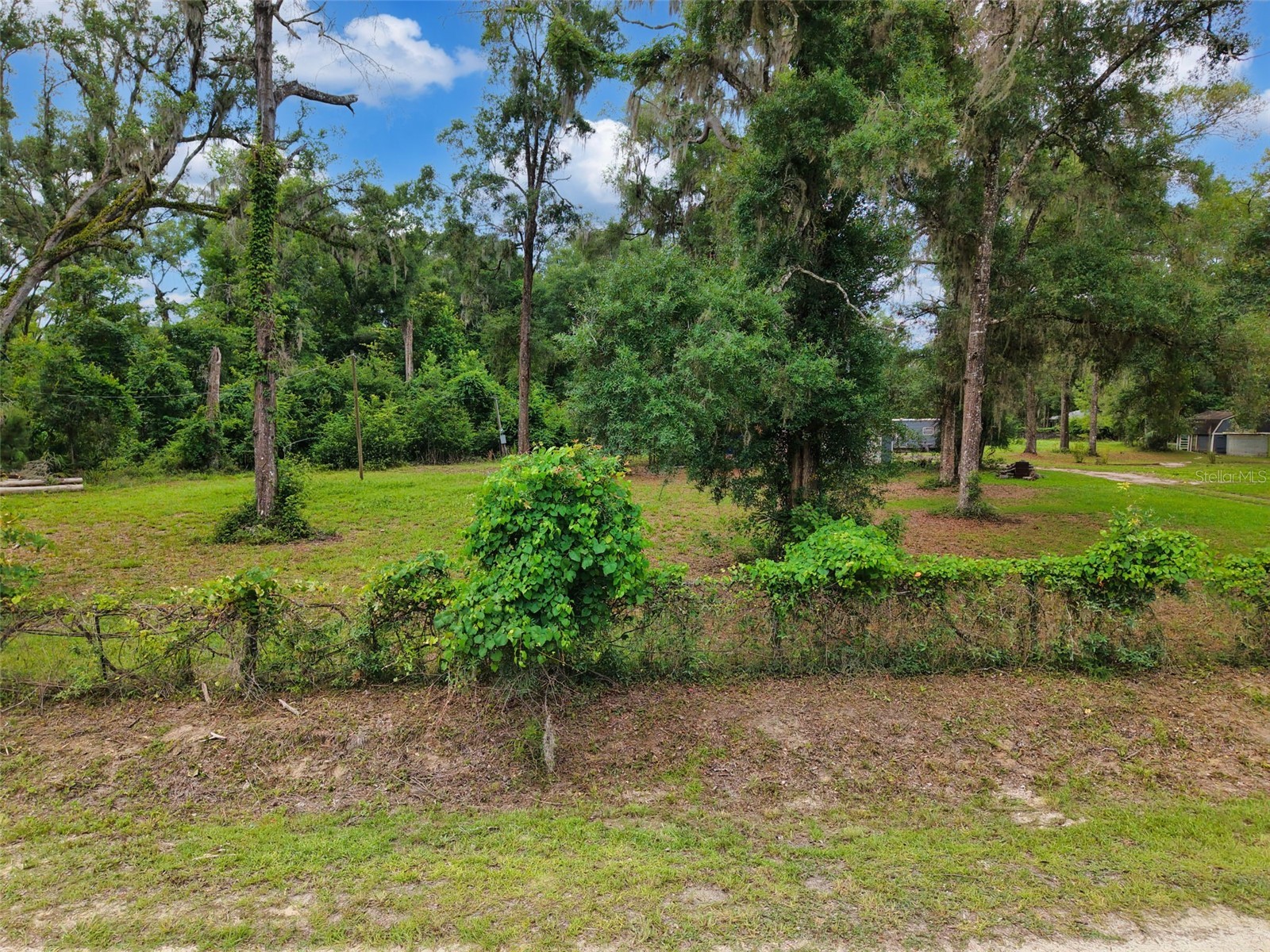 109 NE 194th Avenue Old Town FL 32680 GC541120 image18