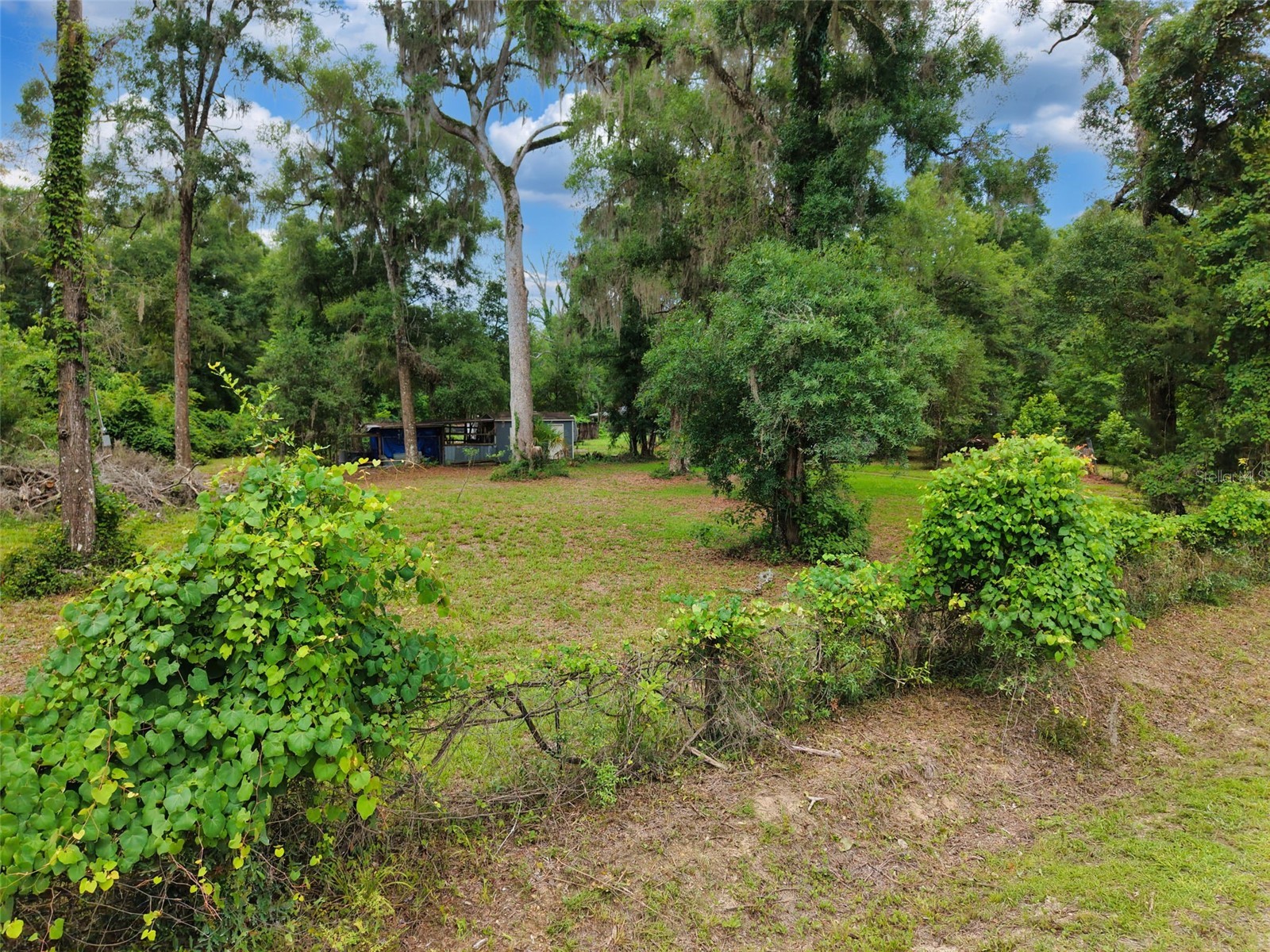 109 NE 194th Avenue Old Town FL 32680 GC541120 image19