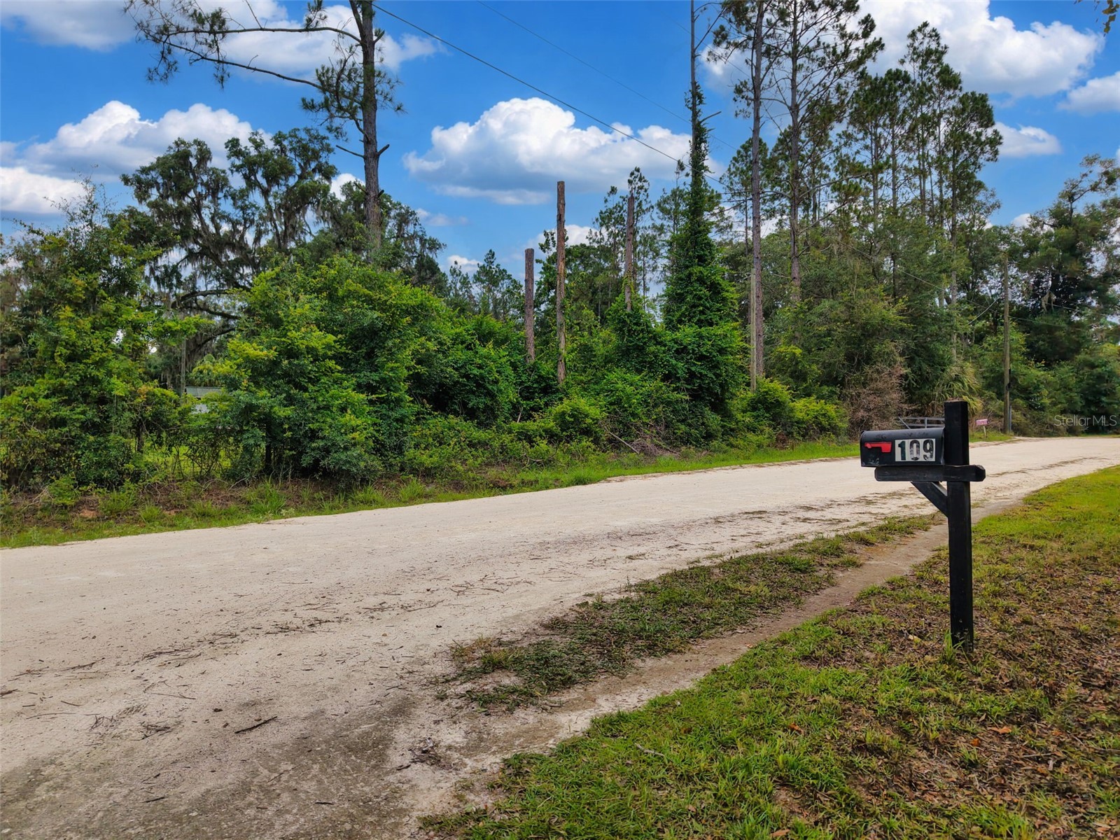 109 NE 194th Avenue Old Town FL 32680 GC541120 image5