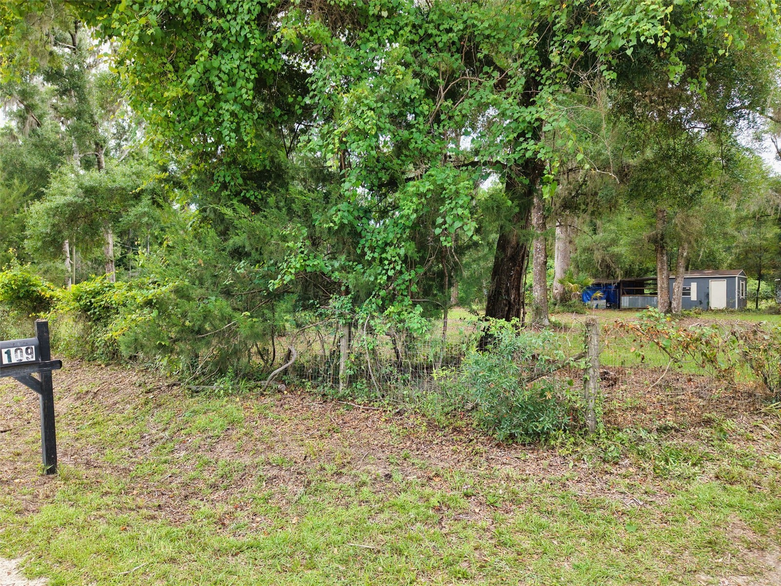 109 NE 194th Avenue Old Town FL 32680 GC541120 image9