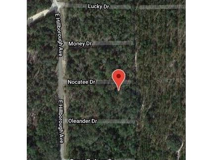 109 Nocatee Drive Florahome FL 32140 OM631393 image2