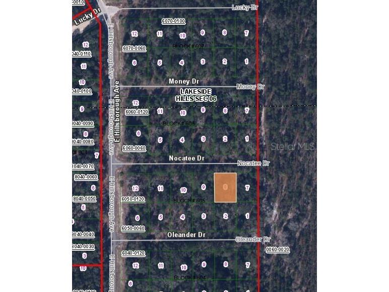 109 Nocatee Drive Florahome FL 32140 OM631393 image3