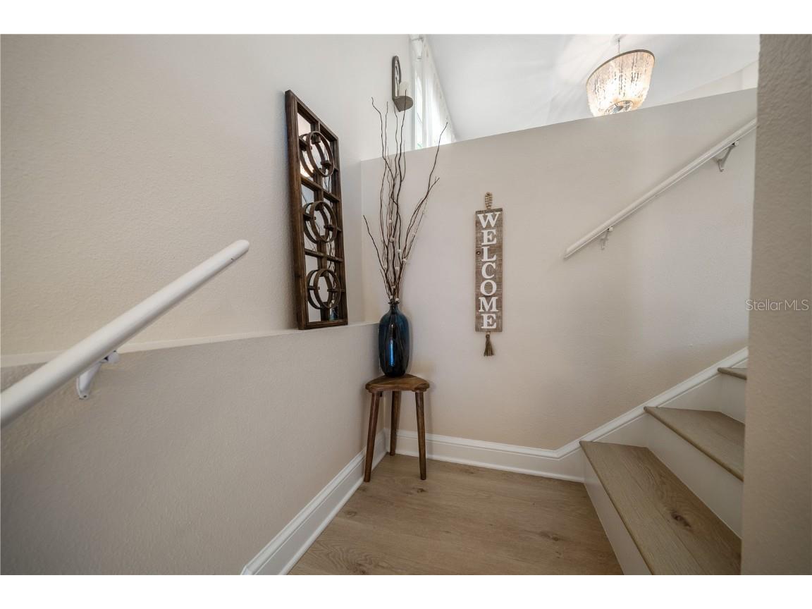 109 Peterson Lane Palm Harbor FL 34683 TB8433431 image6