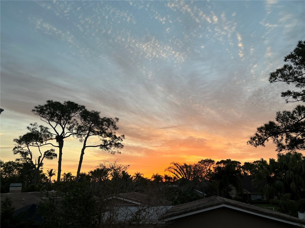 109 Peterson Lane Palm Harbor FL 34683 TB8433431 image72