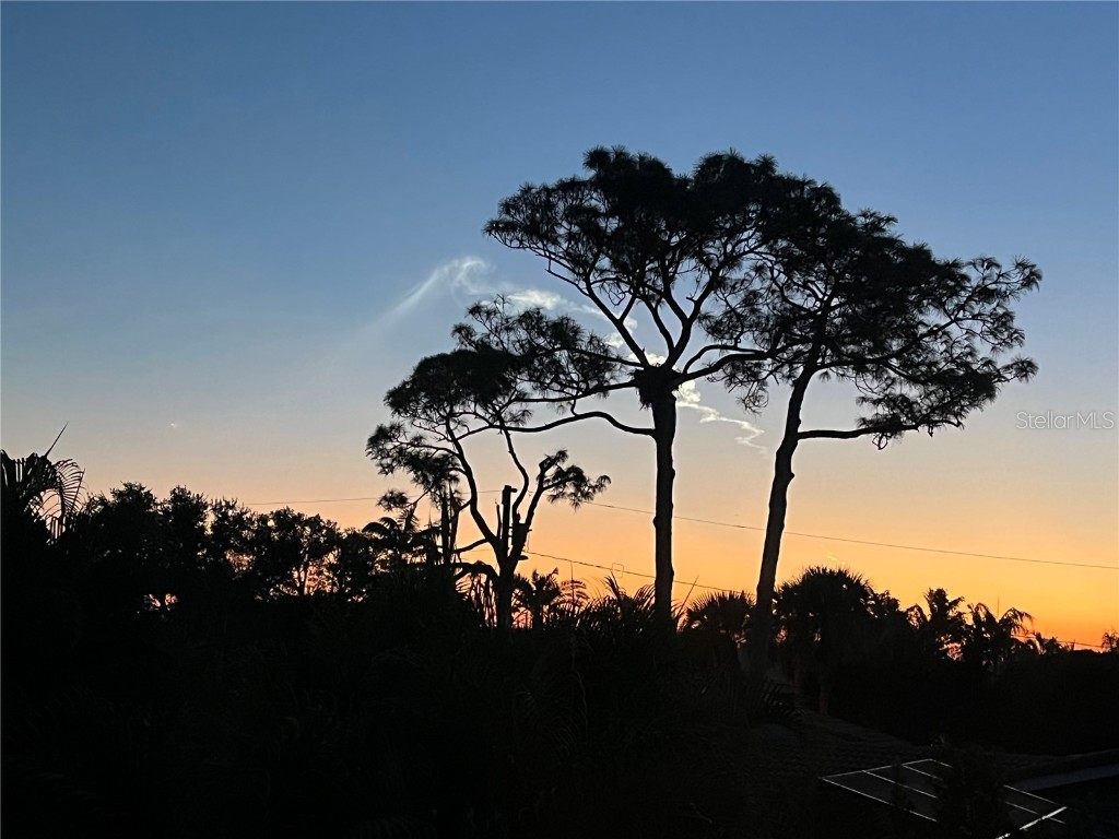 109 Peterson Lane Palm Harbor FL 34683 TB8433431 image74