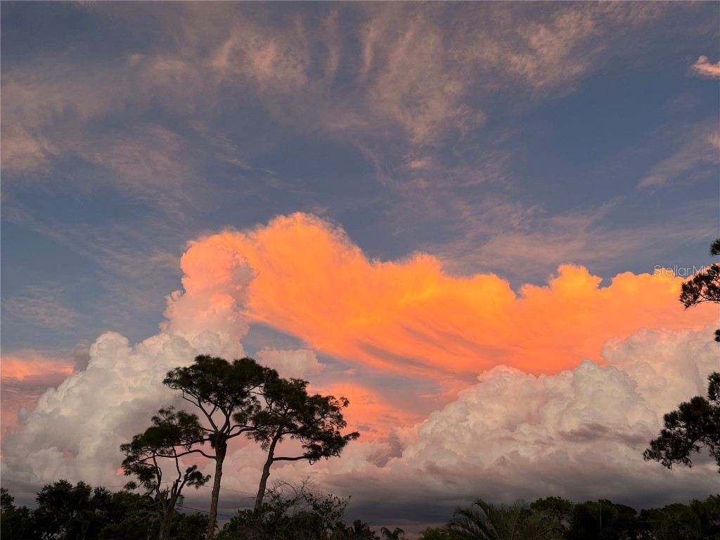 109 Peterson Lane Palm Harbor FL 34683 TB8433431 image75