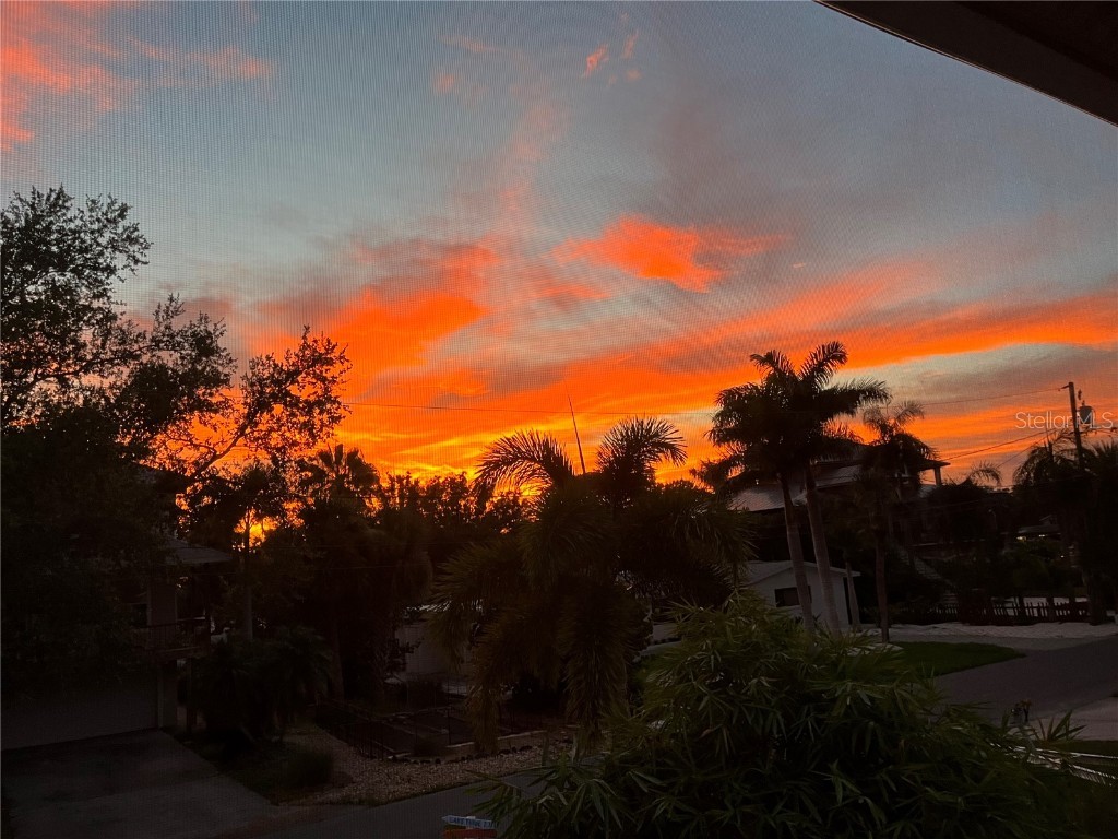 109 Peterson Lane Palm Harbor FL 34683 TB8433431 image76