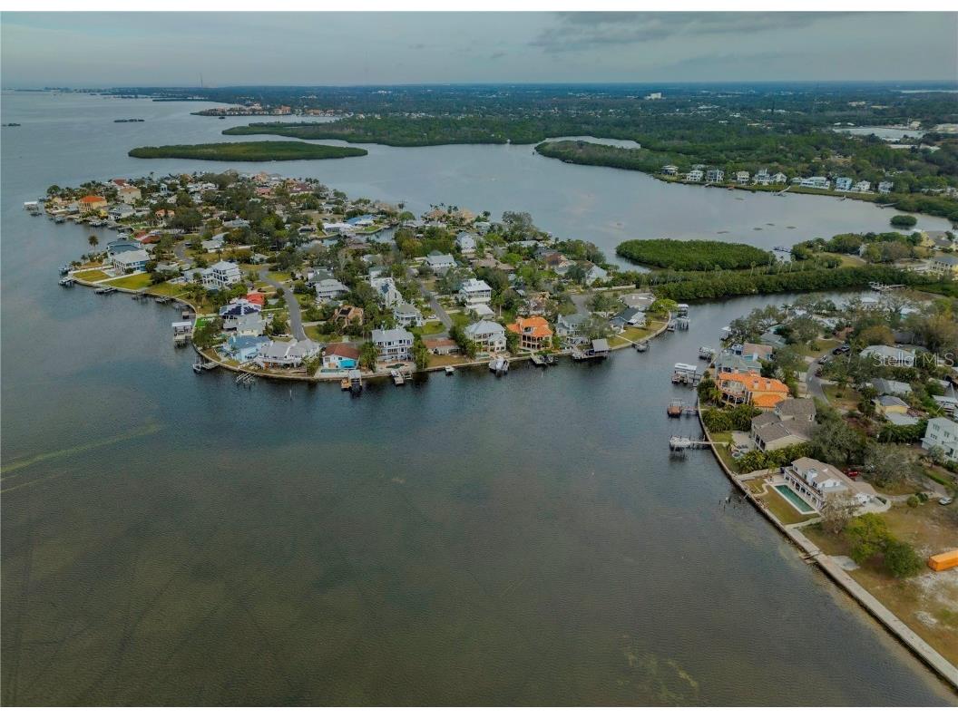 109 Peterson Lane Palm Harbor FL 34683 TB8433431 image83