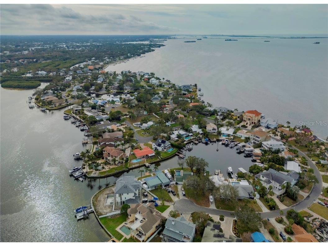 109 Peterson Lane Palm Harbor FL 34683 TB8433431 image84