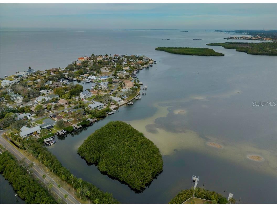 109 Peterson Lane Palm Harbor FL 34683 TB8433431 image86