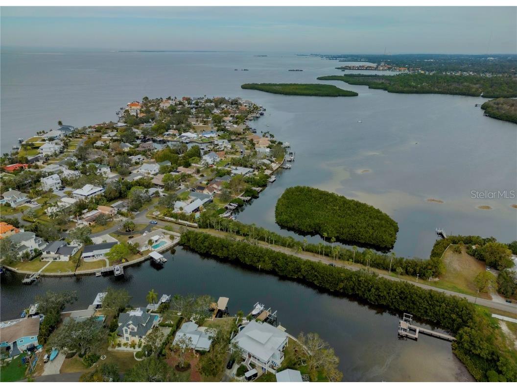 109 Peterson Lane Palm Harbor FL 34683 TB8433431 image87