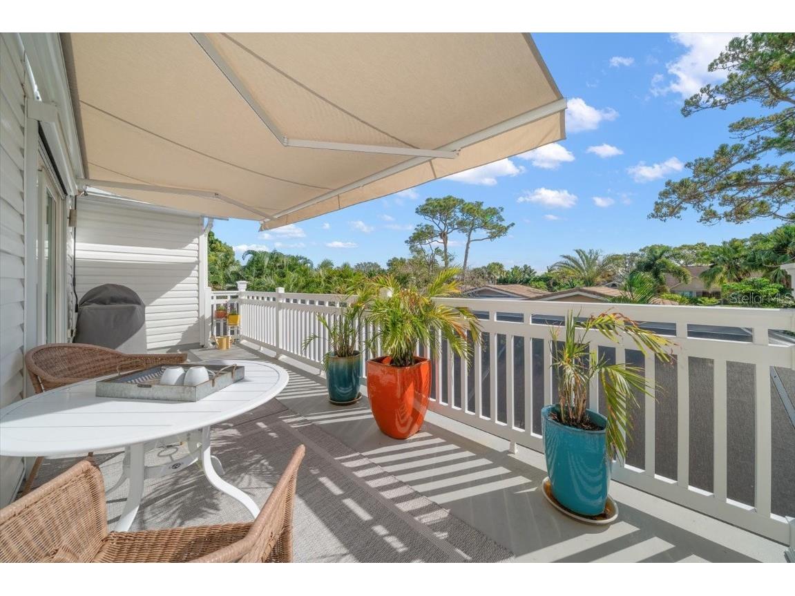 109 Peterson Lane Palm Harbor FL 34683 TB8452763 image34