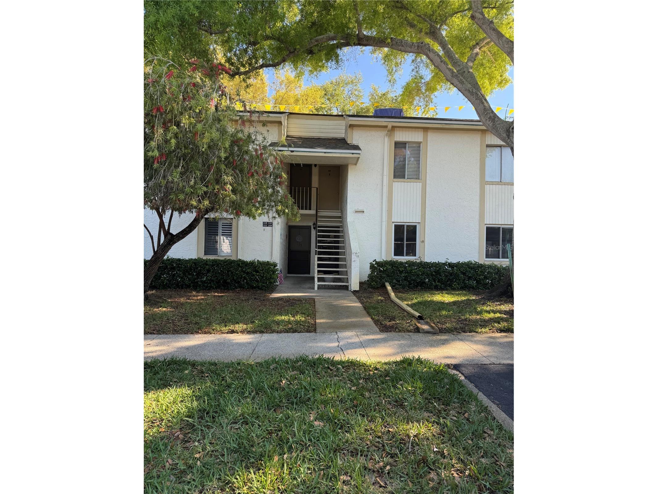 109 Pine Court Oldsmar FL 34677 TB8490609 image1