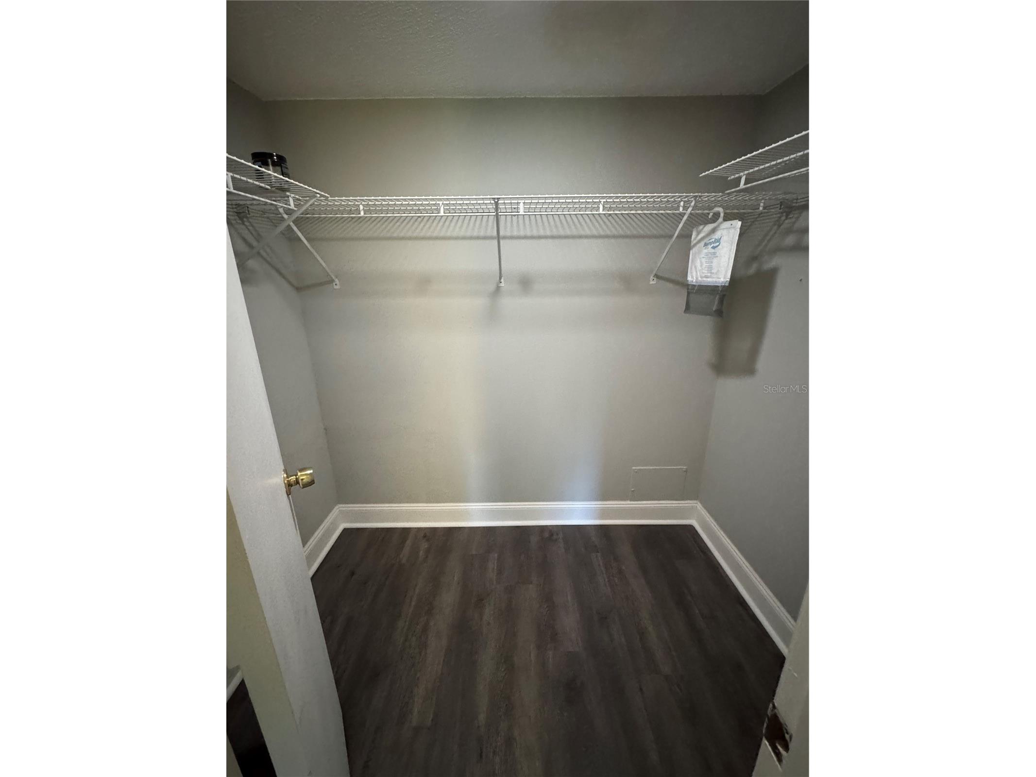 109 Pine Court Oldsmar FL 34677 TB8490609 image30
