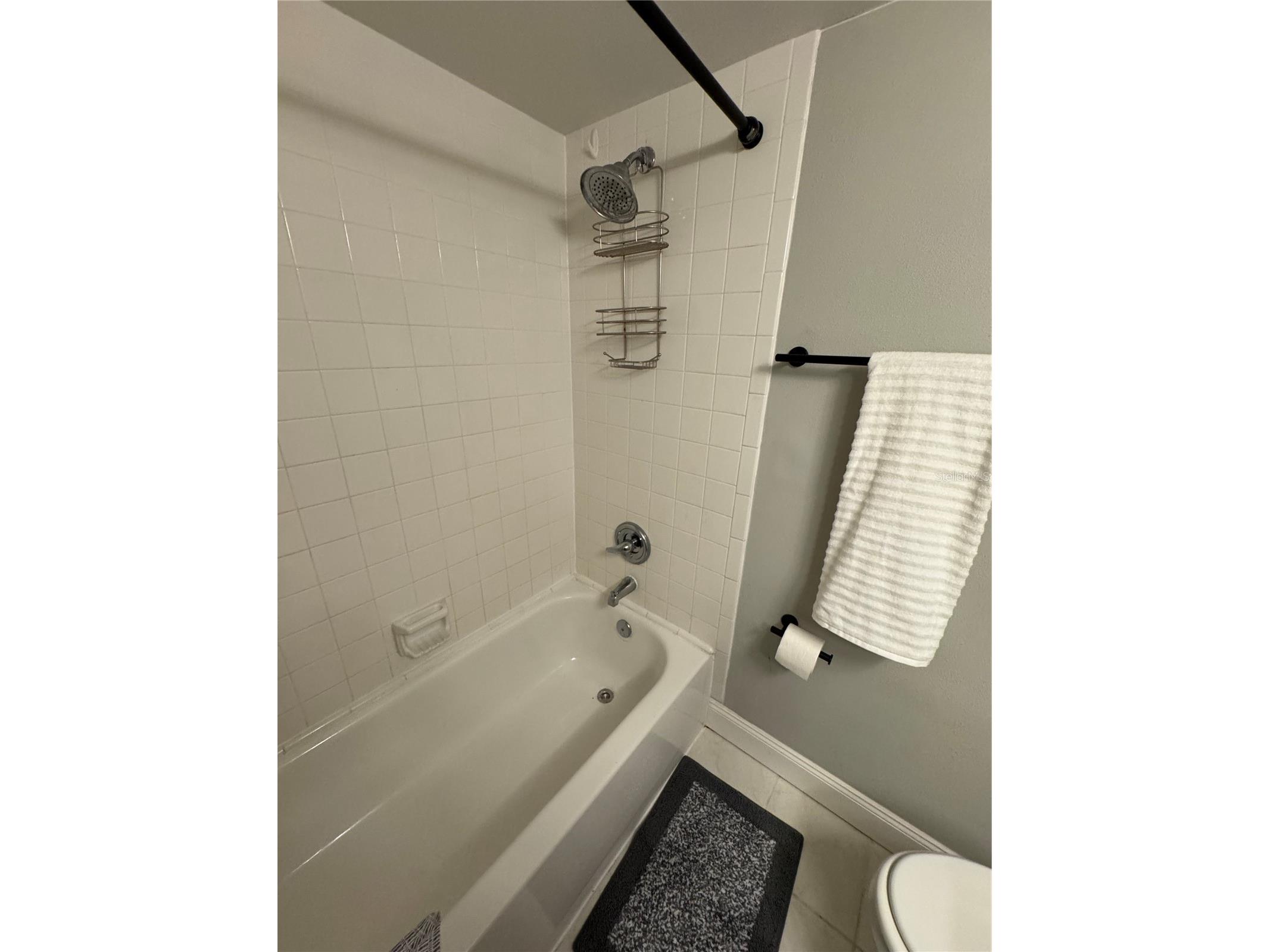 109 Pine Court Oldsmar FL 34677 TB8490609 image39