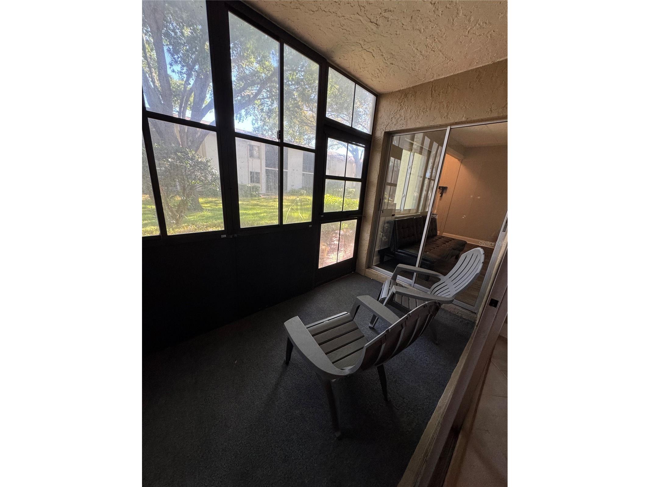 109 Pine Court Oldsmar FL 34677 TB8490609 image41
