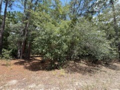 109 Pinellas Street Florahome FL 32140 OK225452 image1