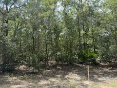 109 Pinellas Street Florahome FL 32140 OK225452 image2