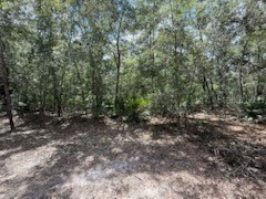 109 Pinellas Street Florahome FL 32140 OK225452 image3